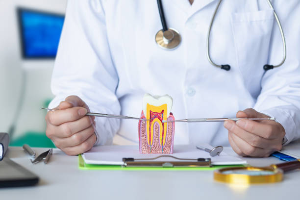 Best Urgent Tooth Repair  in Poplar Grove, IL